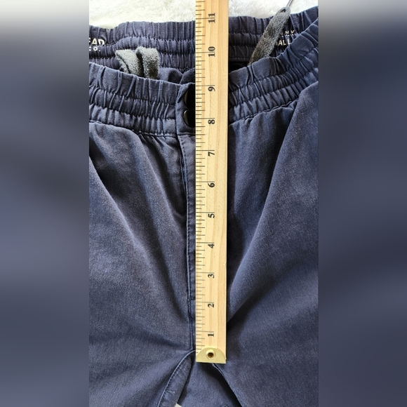 PacSun Navy Jogger - Picture 2 of 14